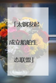 太钢发起成立船舶生态联盟