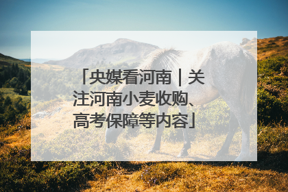 央媒看河南｜关注河南小麦收购、高考保障等内容