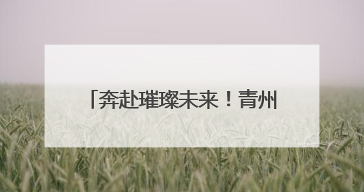 奔赴璀璨未来！青州圣维科技高中 2022 届高考送考
