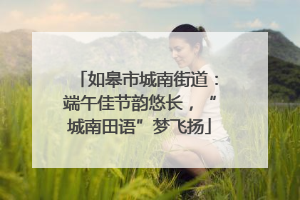 如皋市城南街道：端午佳节韵悠长，“城南田语”梦飞扬
