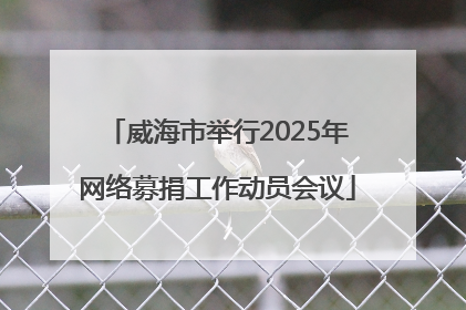 威海市举行2025年网络募捐工作动员会议