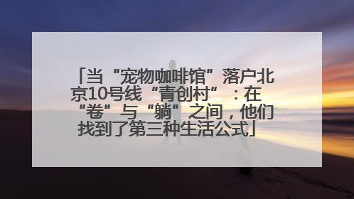 当“宠物咖啡馆”落户北京10号线“青创村”：在“卷”与“躺”之间，他们找到了第三种生活公式