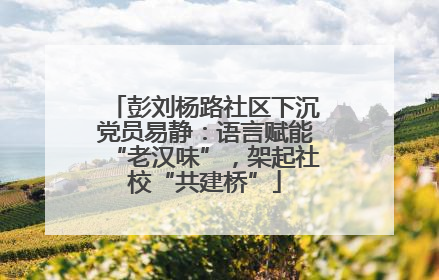 彭刘杨路社区下沉党员易静：语言赋能“老汉味”，架起社校“共建桥”