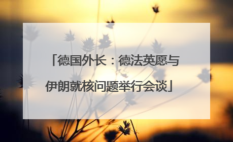 德国外长：德法英愿与伊朗就核问题举行会谈