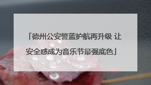 德州公安警蓝护航再升级 让安全感成为音乐节最强底色