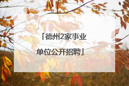 德州2家事业单位公开招聘