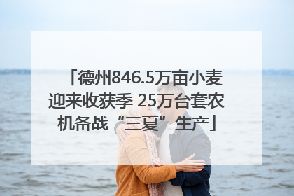 德州846.5万亩小麦迎来收获季 25万台套农机备战“三夏”生产