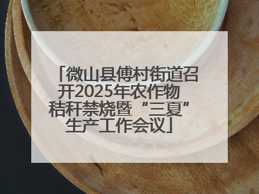 微山县傅村街道召开2025年农作物秸秆禁烧暨“三夏”生产工作会议