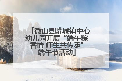 微山县驩城镇中心幼儿园开展“端午粽香情 师生共传承”端午节活动