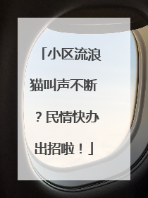 小区流浪猫叫声不断？民情快办出招啦！