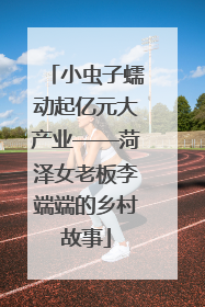 小虫子蠕动起亿元大产业——菏泽女老板李端端的乡村故事