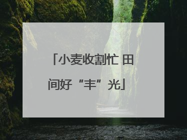 小麦收割忙 田间好“丰”光