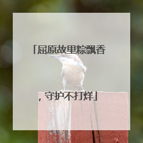屈原故里粽飘香，守护不打烊