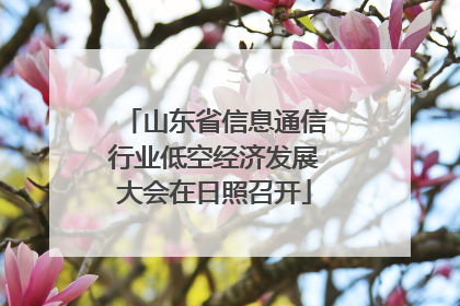 山东省信息通信行业低空经济发展大会在日照召开