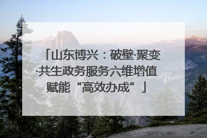 山东博兴：破壁·聚变·共生政务服务六维增值赋能“高效办成”