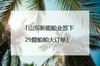 山东新能船业签下29艘船舶大订单