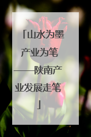 山水为墨 产业为笔——陕南产业发展走笔