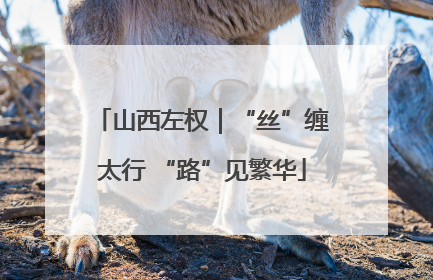 山西左权｜“丝”缠太行 “路”见繁华