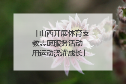 山西开展体育支教志愿服务活动 用运动浇灌成长