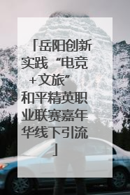 岳阳创新实践“电竞+文旅” 和平精英职业联赛嘉年华线下引流