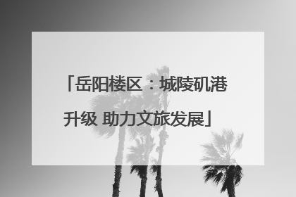 岳阳楼区：城陵矶港升级 助力文旅发展