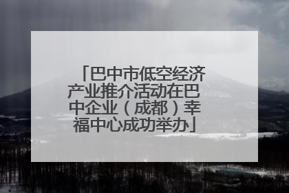 巴中市低空经济产业推介活动在巴中企业（成都）幸福中心成功举办