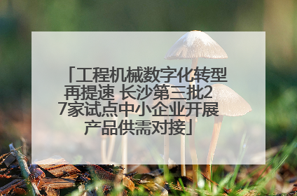 工程机械数字化转型再提速 长沙第三批27家试点中小企业开展产品供需对接