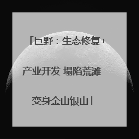 巨野：生态修复+产业开发 塌陷荒滩变身金山银山