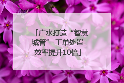广水打造“智慧城管” 工单处置效率提升10倍
