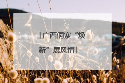 广西侗寨“焕新”展风情