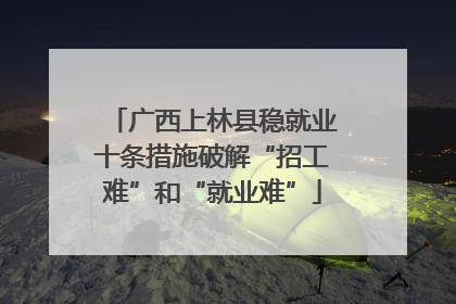 广西上林县稳就业十条措施破解“招工难”和“就业难”