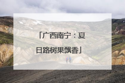广西南宁：夏日路树果飘香