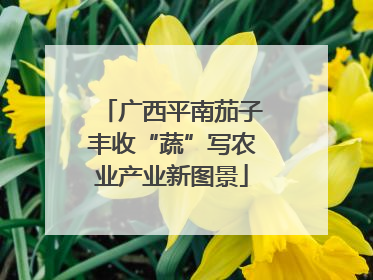 广西平南茄子丰收“蔬”写农业产业新图景