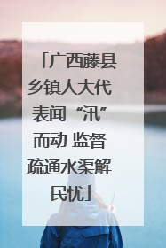 广西藤县乡镇人大代表闻“汛”而动 监督疏通水渠解民忧