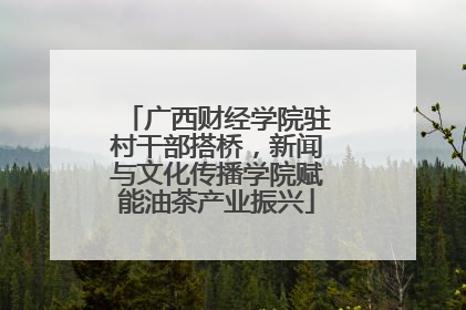 广西财经学院驻村干部搭桥，新闻与文化传播学院赋能油茶产业振兴
