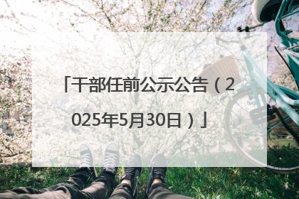 干部任前公示公告（2025年5月30日）