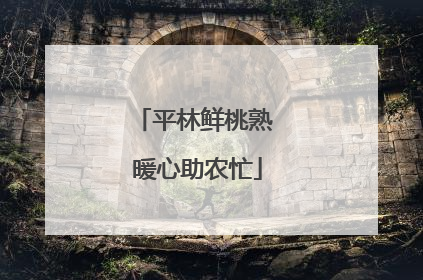 平林鲜桃熟 暖心助农忙