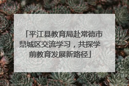 平江县教育局赴常德市鼎城区交流学习，共探学前教育发展新路径