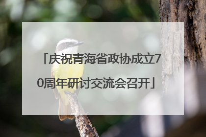 庆祝青海省政协成立70周年研讨交流会召开