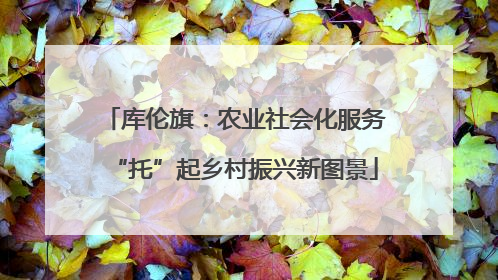 库伦旗：农业社会化服务“托”起乡村振兴新图景