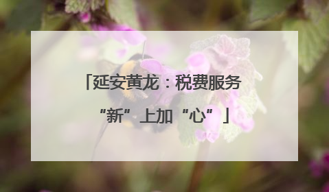 延安黄龙：税费服务“新”上加“心”