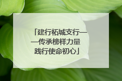 建行柘城支行——传承榜样力量 践行使命初心