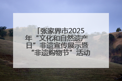张家界市2025年“文化和自然遗产日”非遗宣传展示暨“非遗购物节”活动在慈利县盛大启幕
