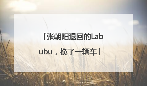 张朝阳退回的Labubu，换了一辆车