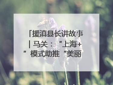 援滇县长讲故事｜马关：“上海+”模式助推“美丽产业”幸福绽放
