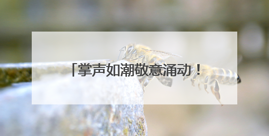 掌声如潮敬意涌动！2025河南CCPC省赛暨全国邀请赛璀