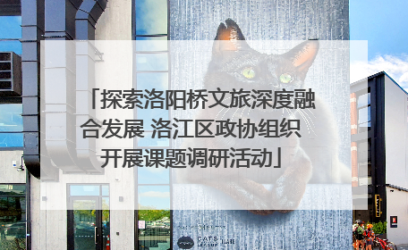 探索洛阳桥文旅深度融合发展 洛江区政协组织开展课题调研活动