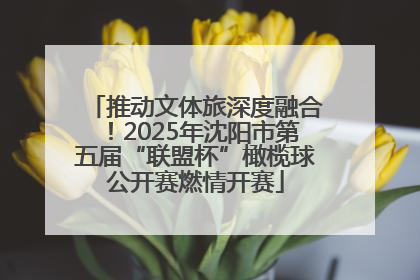 推动文体旅深度融合！2025年沈阳市第五届“联盟杯”橄榄球公开赛燃情开赛