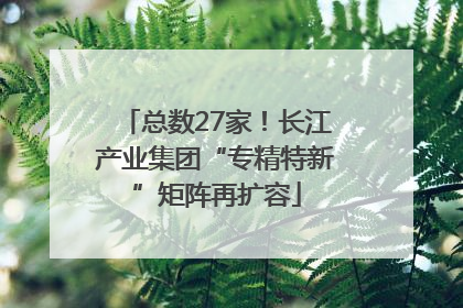 总数27家！长江产业集团“专精特新”矩阵再扩容
