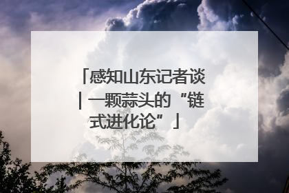感知山东记者谈｜一颗蒜头的“链式进化论”